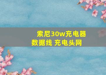 索尼30w充电器数据线 充电头网